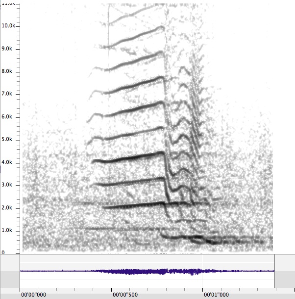 sample waveform