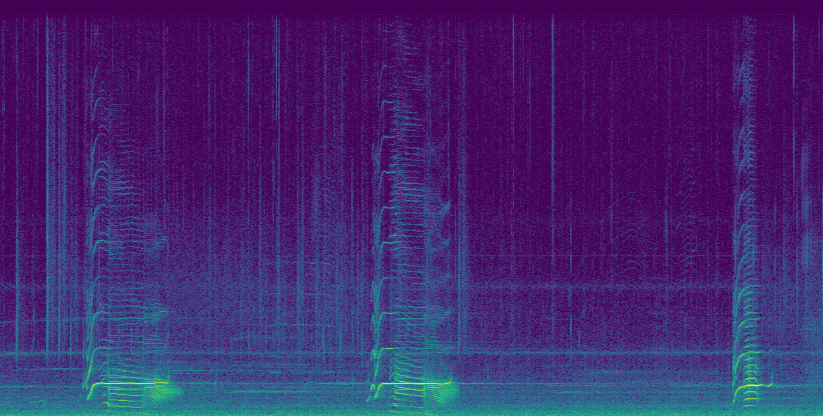 Spectrogram of SRKW vocalizations. A DNN can learn the patterns you see in this image and learn to search for similar ones when given new data.